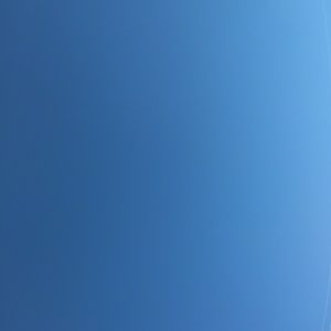 Meet your Posher, Kesha